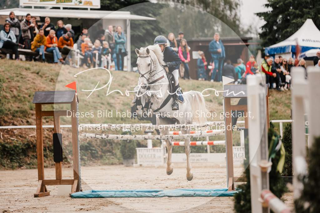3I6A2006 | Stimmungsvolle Portraits und Reitsportfotografie im Ruhrgebiet und im Münsterland.

Pferdefotografie, Hundefotografie, Tierfotografie, Reportagen, Portraits von Tier und Mensch, Turnierfotografie in Bochum, Recklinghausen, Marl, Haltern am See, Dülmen.. - Realisiert mit Pictrs.com