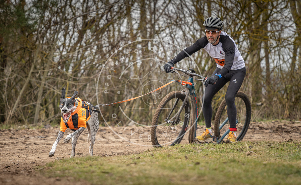 Pfotenfotografie_DV3A9587 | Hundefotografie, Tierfotograf, Pfotenfotografie, Fotoshooting Hund, Hunde Portrait, Hundesport, Hundeportraits, Heideshooting, Hunde, Sportfotograf, Hundefotograf, Turnierhundsport, THS,  - Realisiert mit Pictrs.com