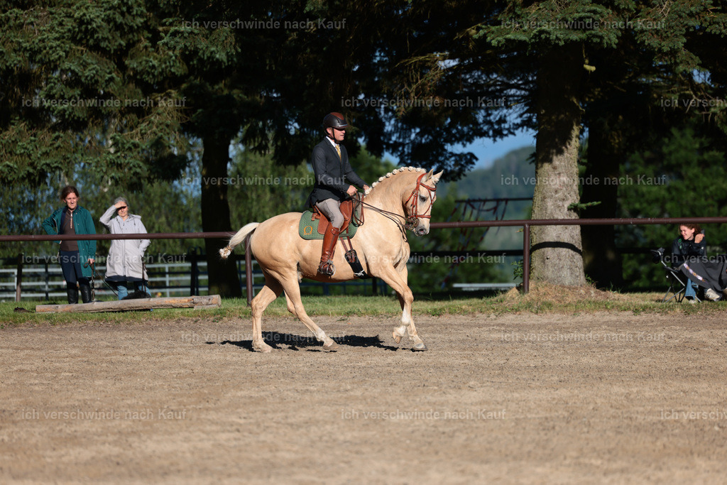 KlasseL_Stoibphotography_CAM24314.JPG | working equitationturnier fotograf videograf stoibphotography marixx film working equitation deutschland reitsport turnierfotografie eventfotografie equestrian events