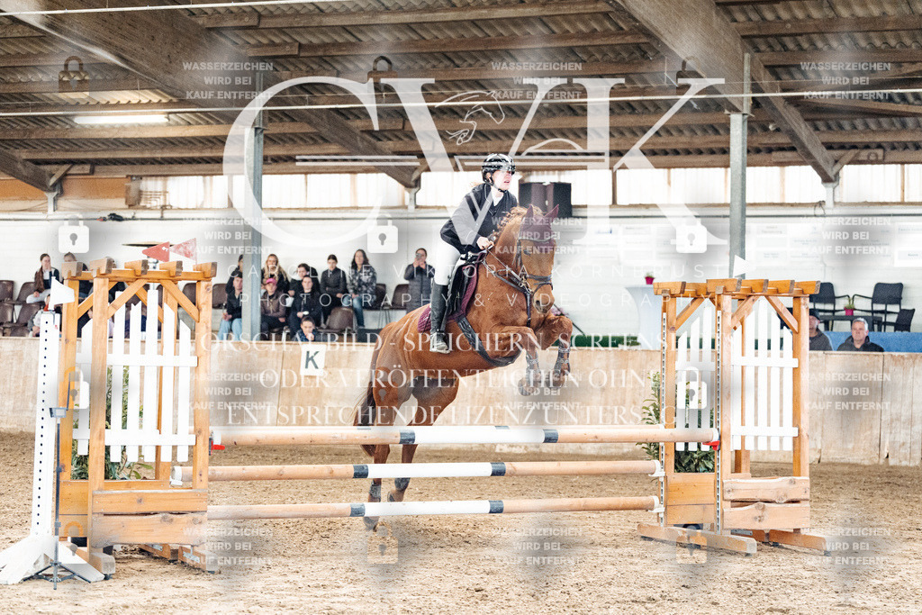 CK904734 | Turnierfotografie Pferdefotografie Trier Rheinland-Pfalz Pferdesport Reitsport Tierfotografie Sportfotografie Pferdevideo Pferdevideografie Equestrianvideography equestrianphotography  - Realized with Pictrs.com