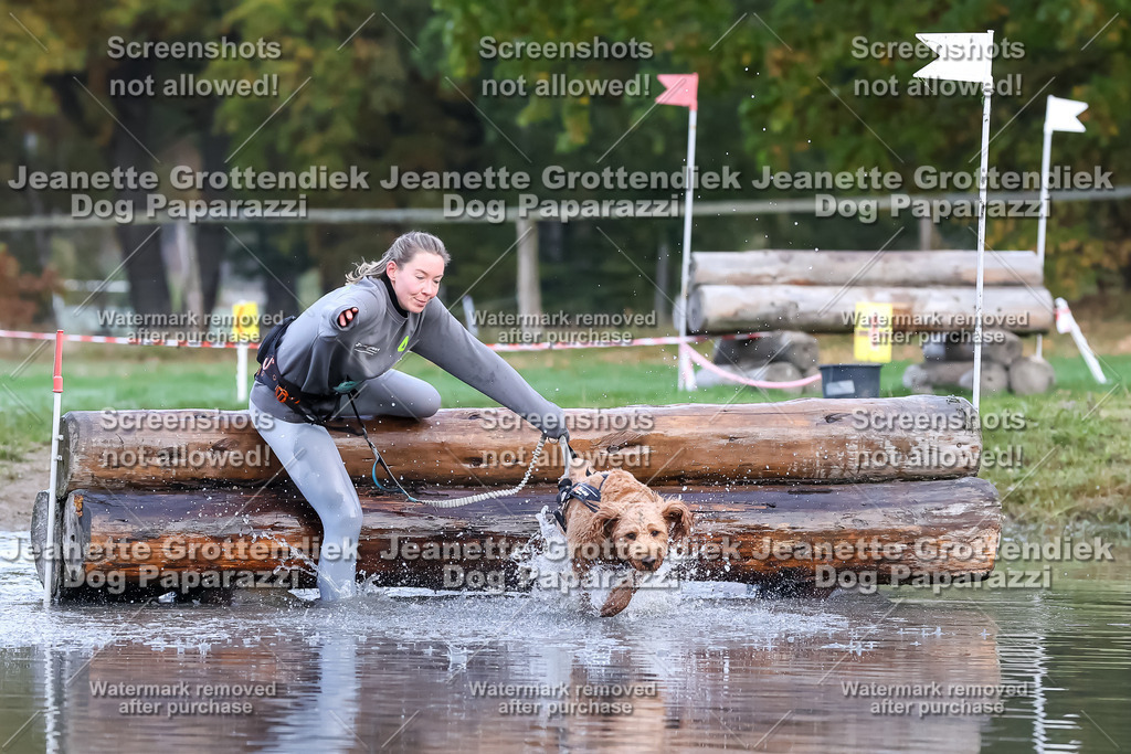 Dog Paparazzi - Strongdog 10-25-6444 | Dog Paparazzi Jeanette Grottendiek Fotografie & Videografie - Realisiert mit Pictrs.com