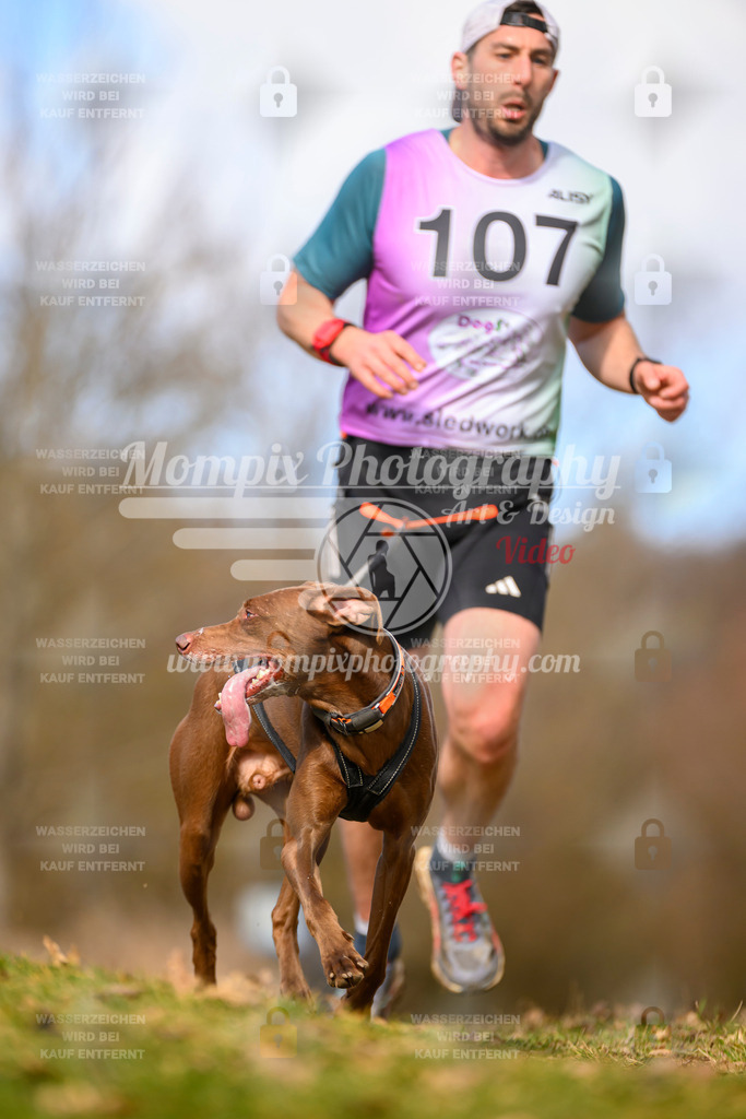 MompixPhotography_10Schwabentrail2026_SO_Canicross-18 | PayLife