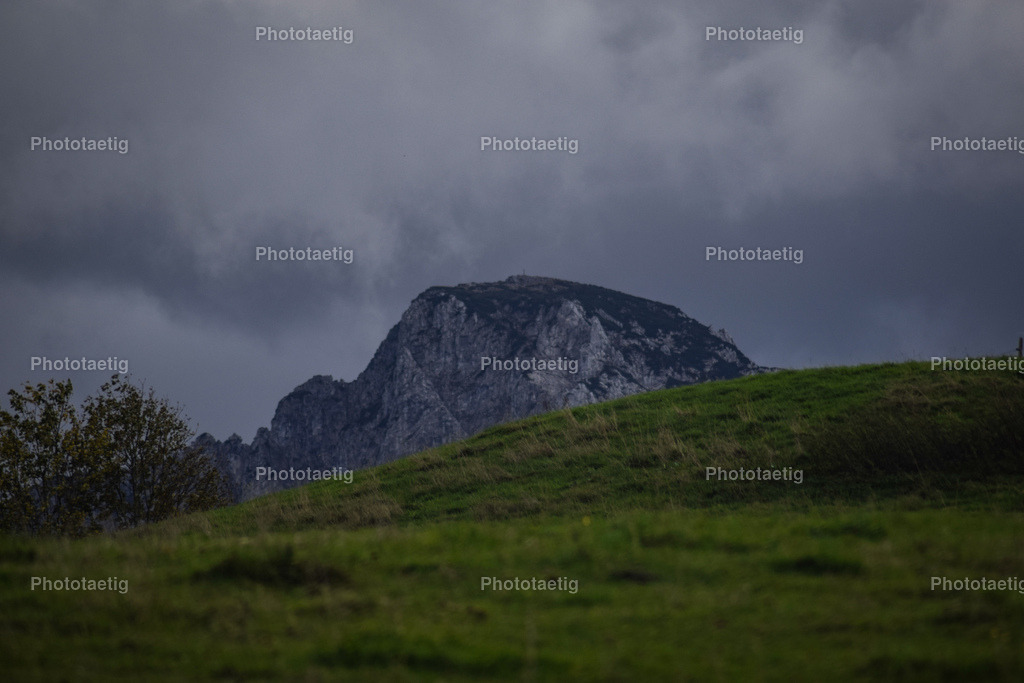 IMG_3941 | phototaetig