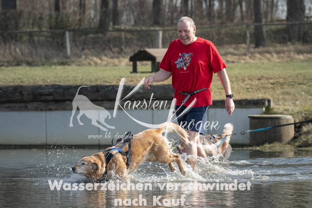 1249_ZZ92115 | kk-dogfotos