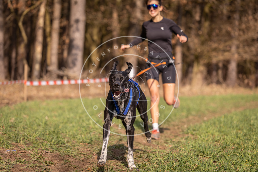 DV3A6375 | Hundefotografie, Tierfotograf, Pfotenfotografie, Fotoshooting Hund, Hunde Portrait, Hundesport, Hundeportraits, Heideshooting, Hunde, Sportfotograf, Hundefotograf, Turnierhundsport, THS,  - Realisiert mit Pictrs.com