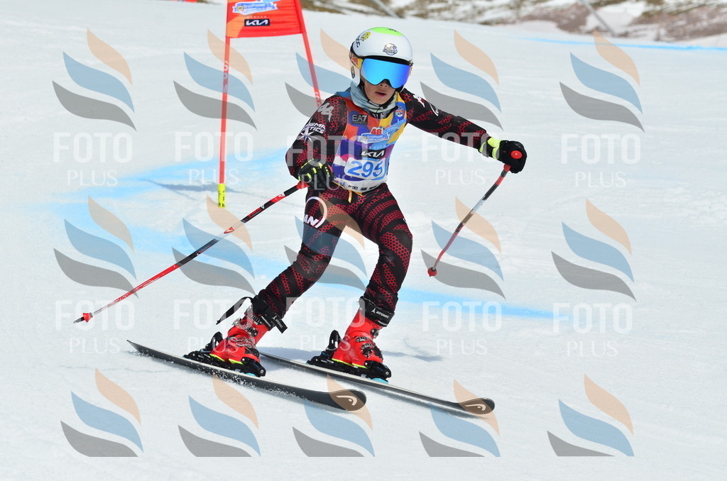 _ELE2123 | holidayphoto