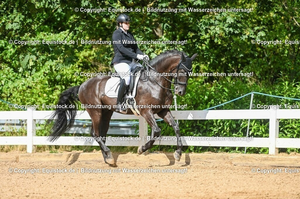 20230716_01_Dressurprüfung Kl.M_0589 | equistock