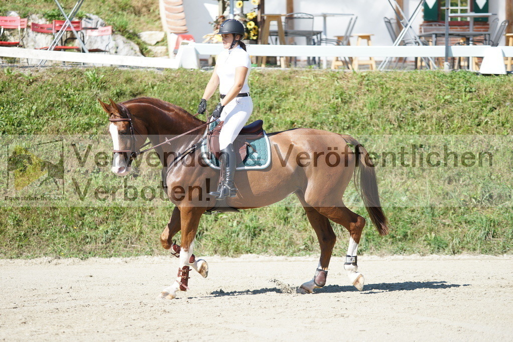 DSC02379 | equestrian-live-com