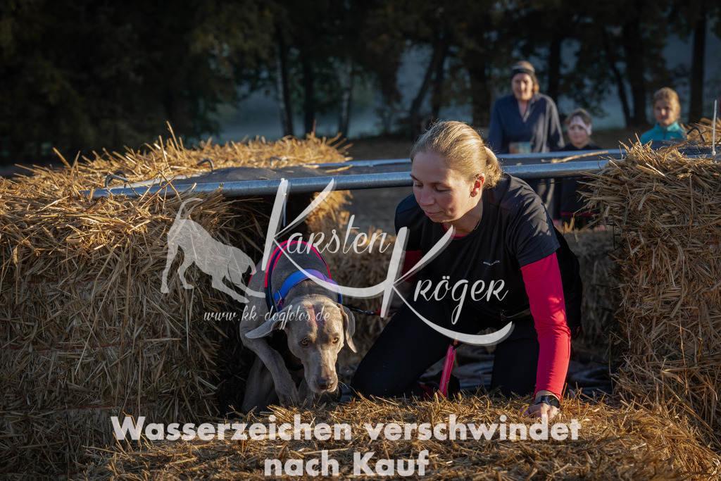 0908_ZZ91570 | kk-dogfotos