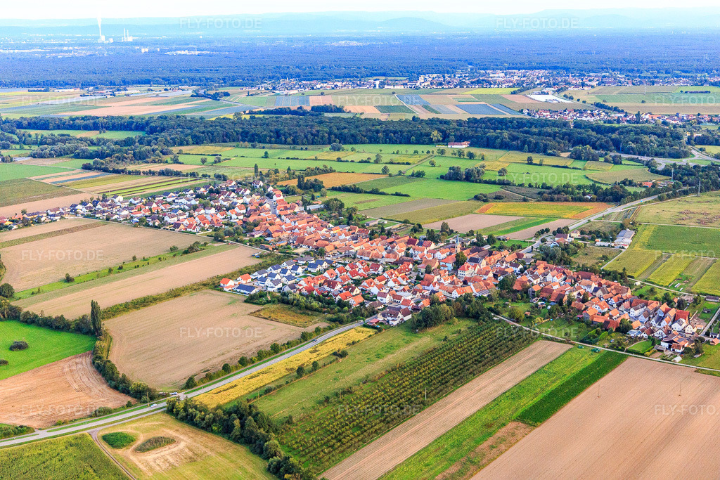 Luftbild: Ortsansicht von Norden in Erlenbach bei Kandel im Bundesland Rheinland-Pfalz in Deutschland. Foto: IMG_129395.jpg vom 12.09.2021 durch Werner Riehm/FLY-FOTO.de
