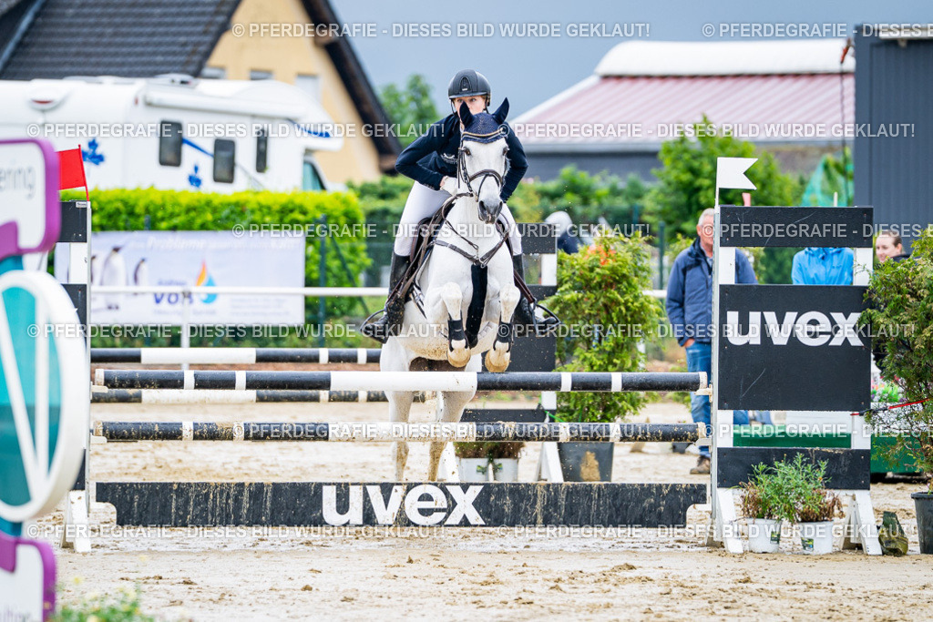 DSC03270 | Pferdegrafie