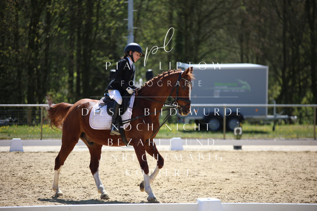 IMGT0597 | pl-fotografie