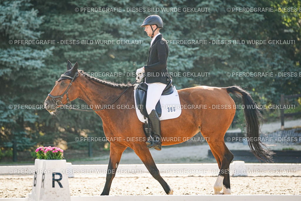 DSC08452 | Pferdegrafie