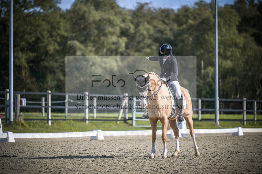 DOS_2255 | Entdecke hochwertige Reitturnierfotos von Foto Oger. Professionell, emotional und authentisch – jetzt Lieblingsmomente im Shop bestellen.Deutschlandweite Turnierfotografie. - Realisiert mit Pictrs.com