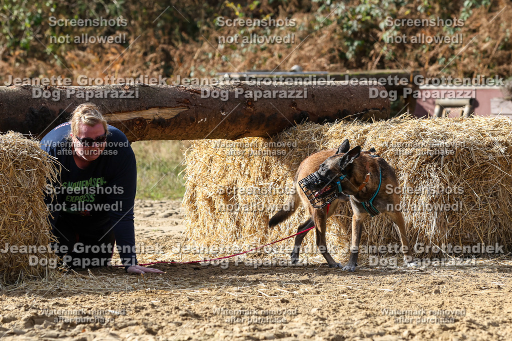 Dog Paparazzi - Strongdog 10-25-5318 | Dog Paparazzi Jeanette Grottendiek Fotografie & Videografie - Realisiert mit Pictrs.com