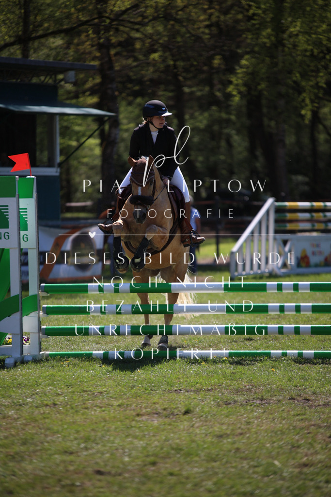 IMGT8137 | pl-fotografie