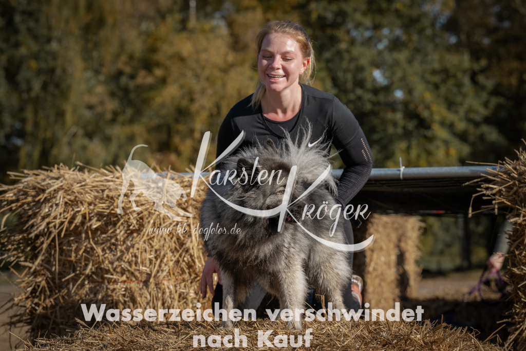 1110_ZZ90226 | kk-dogfotos