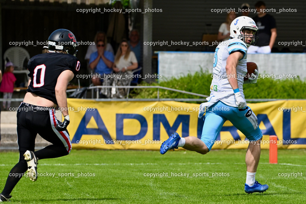 Carinthian Lions vs. Styrian Bears | Carinthian Lions vs. Styrian Bears, Carinthian Lions vs. Styrian Bears am 20.05.2024 in Klagenfurt (ASV Sportplatz), Austria, (Photo by Bernd Stefan)