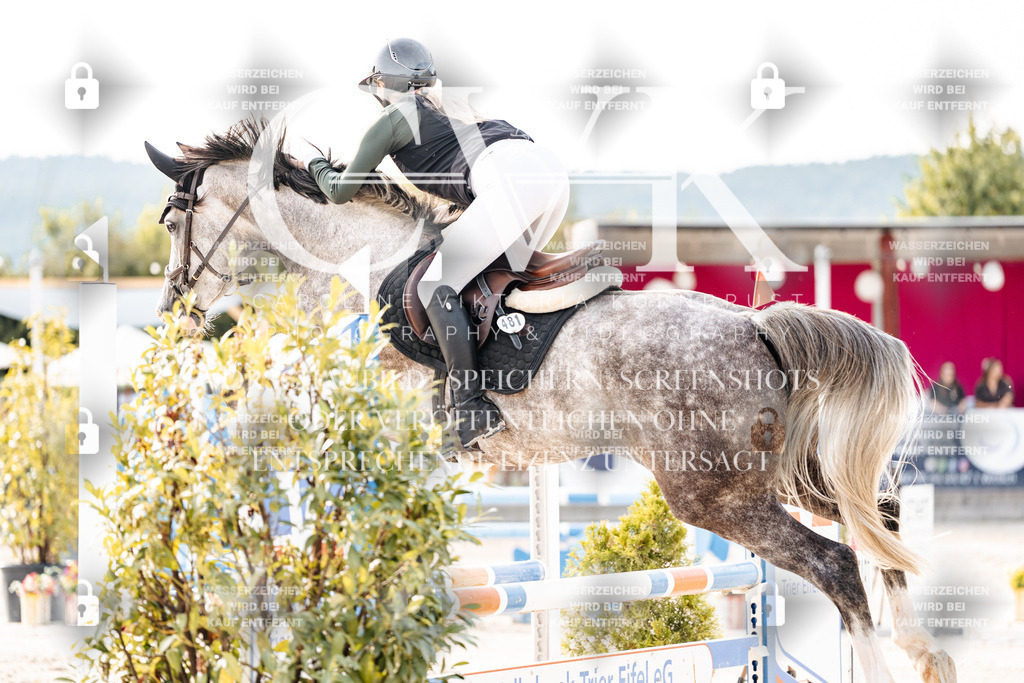 CK906620 | Turnierfotografie Pferdefotografie Trier Rheinland-Pfalz Pferdesport Reitsport Tierfotografie Sportfotografie Pferdevideo Pferdevideografie Equestrianvideography equestrianphotography  - Realisiert mit Pictrs.com