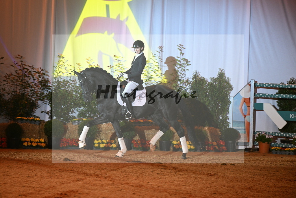 Total Love_Hofrogge_3262408 | hf-fotografie - Realisiert mit Pictrs.com