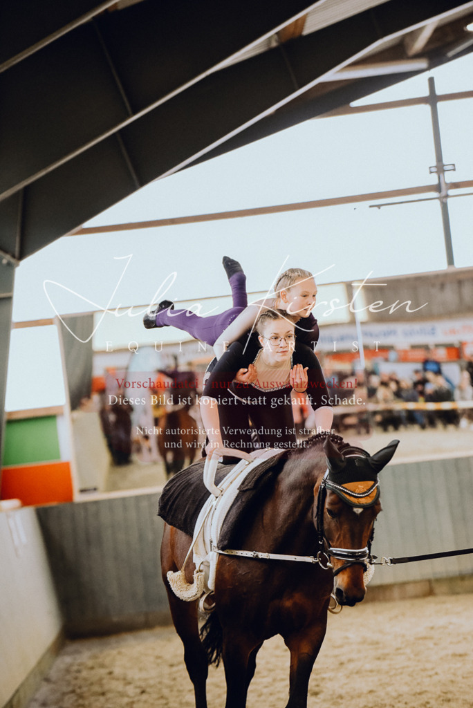 DSC_6898 | Pferde- und Turnierfotografie in Westsachsen. Pferdeportraits, Auftragszeichnungen und intuitive Kunst.