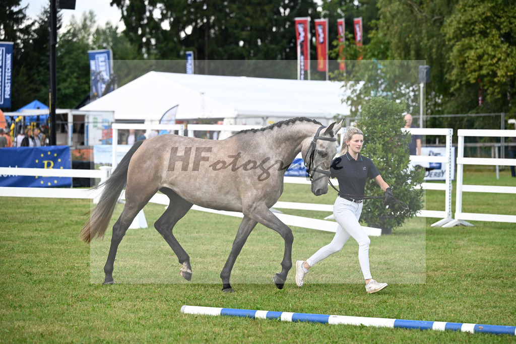 Kat-Nr. 19 Diorella-Loranda v. Vingino_Feigl u Meyer-Gerbauret_30250286 | hf-fotografie - Realisiert mit Pictrs.com