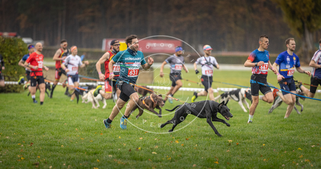 CaniXpix_DV3A9483 | Hundefotografie, Tierfotograf, Pfotenfotografie, Fotoshooting Hund, Hunde Portrait, Hundesport, Hundeportraits, Heideshooting, Hunde, Sportfotograf, Hundefotograf, Turnierhundsport, THS,  - Realisiert mit Pictrs.com