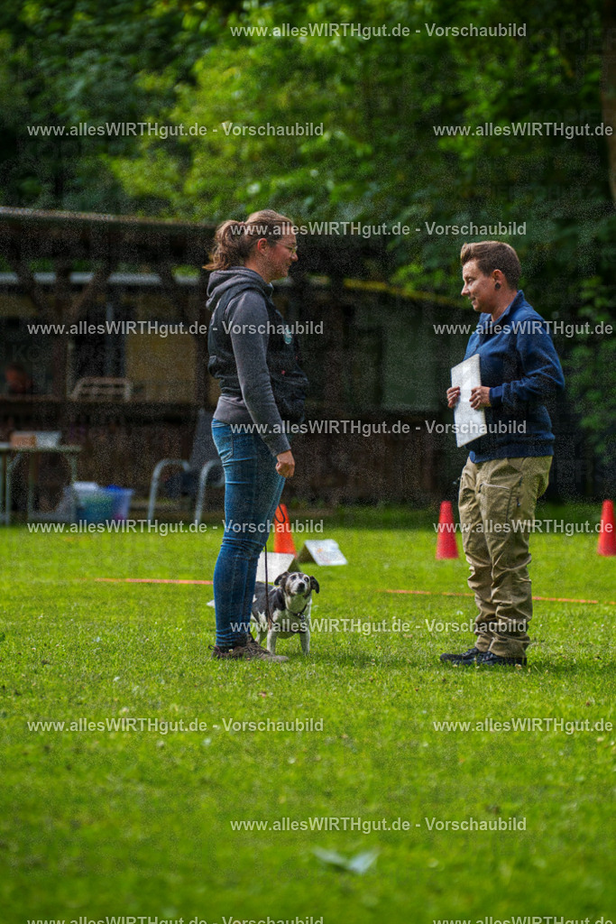 @allesWIRTHgut_Tierfotografie - www.allesWIRTHgut.de - 083204-7R506309 | Professionelle Tierfotografie in Mönchengladbach von Daniel Wirth (allesWIRTHgut). Liebevolle & natürliche Bilder von Hunden & Katzen für unvergessliche Erinnerungen.