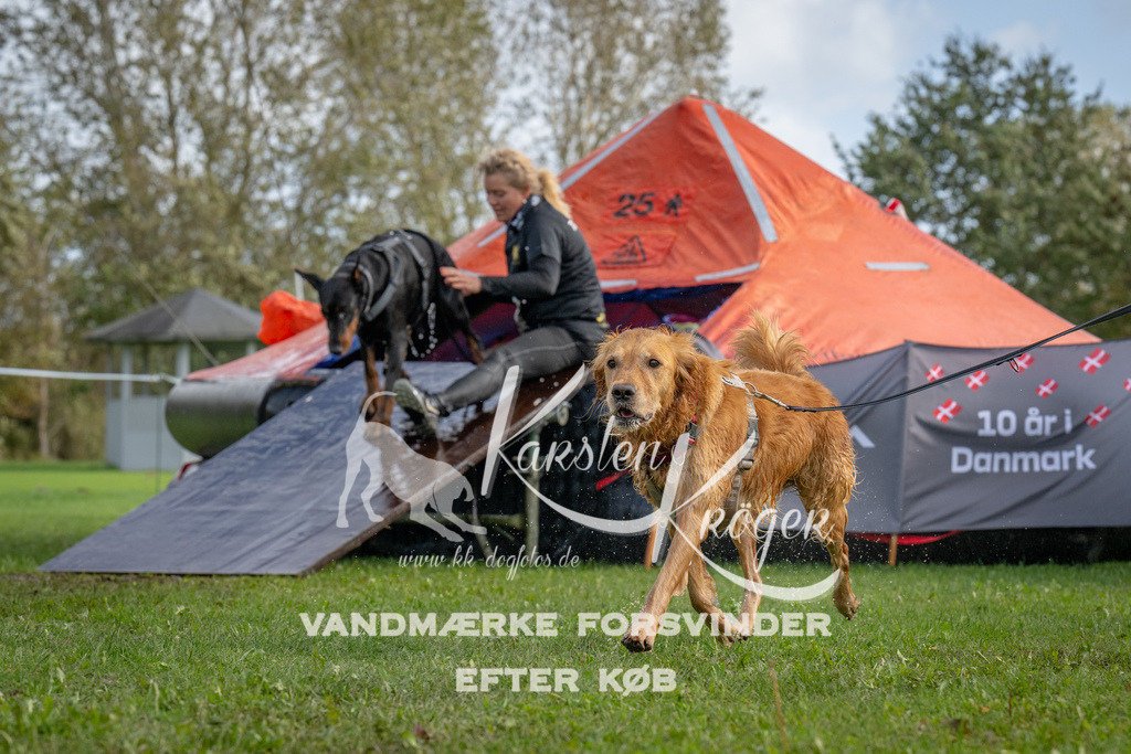 1213-92864 | kk-dogfotos