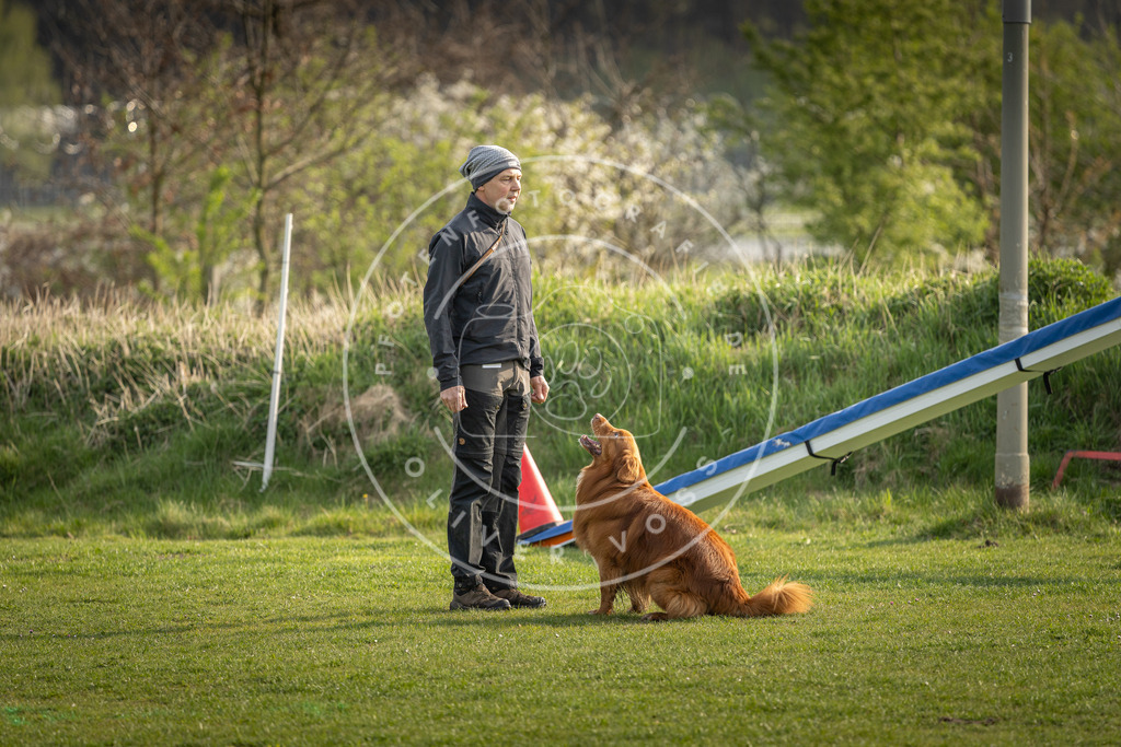 Pfotenfotografie_DV3A4770 | Hundefotografie, Tierfotograf, Pfotenfotografie, Fotoshooting Hund, Hunde Portrait, Hundesport, Hundeportraits, Heideshooting, Hunde, Sportfotograf, Hundefotograf, Turnierhundsport, THS,  - Realisiert mit Pictrs.com