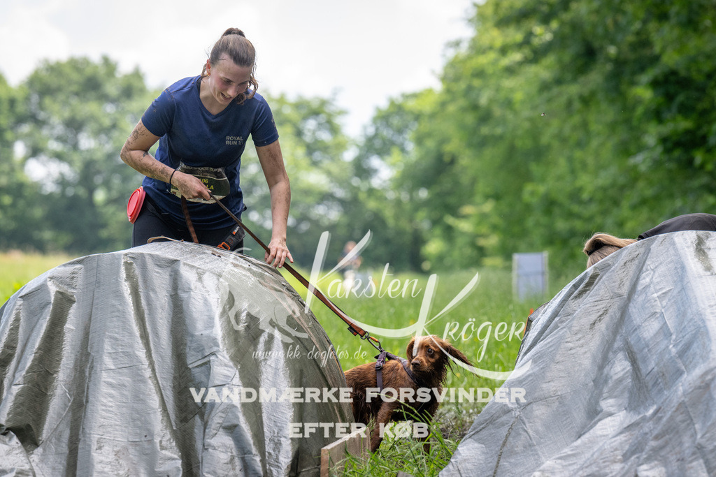 1136_ZZ93161 | kk-dogfotos