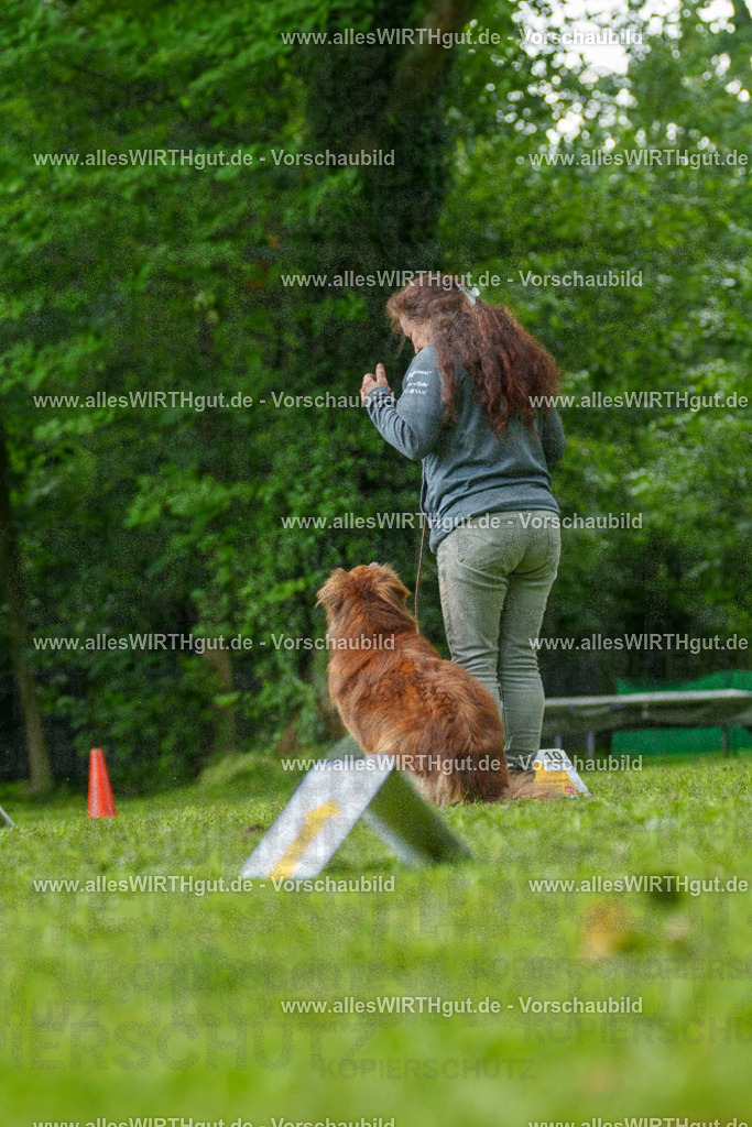@allesWIRTHgut_Tierfotografie - www.allesWIRTHgut.de - 7R505136 | Professionelle Tierfotografie in Mönchengladbach von Daniel Wirth (allesWIRTHgut). Liebevolle & natürliche Bilder von Hunden & Katzen für unvergessliche Erinnerungen.