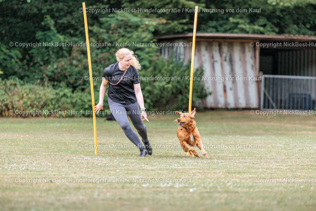 THS-Quakenbrück-2026-Nickbest-Hundefotografie-4790 | Dein Hund! Dein Moment! Deine Erinnerungen! Hundefotografie in Bremen Blumenthal. Ich fange die besonderen Momente deines Vierbeiners ein – ob Indoor mit Blitzanlage oder in der freien Natur. Sicher dir dein Moment und dein Termin für eure Erinnerungen.