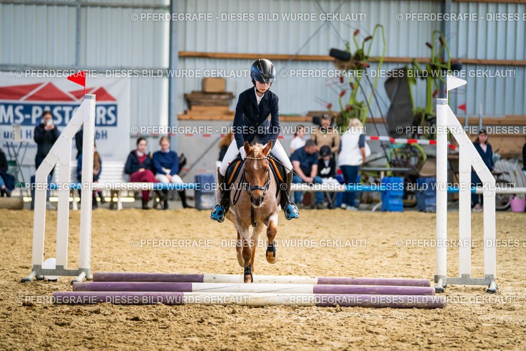 DSC02336 | Pferdegrafie