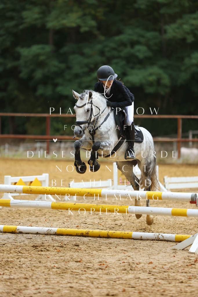 IMGM2016 | pl-fotografie