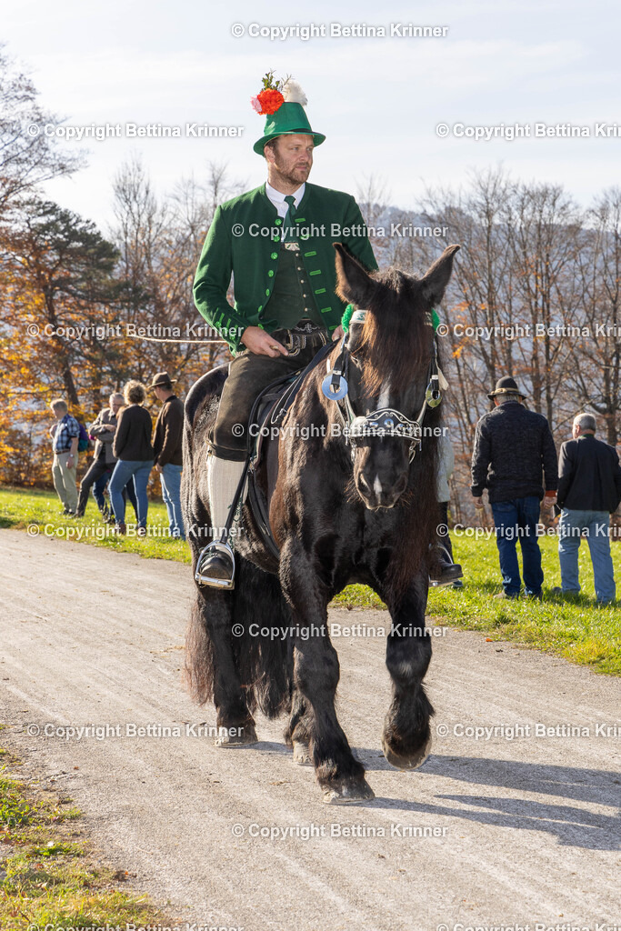 LBT24-1379 | foto-bettina-krinner - Realisiert mit Pictrs.com