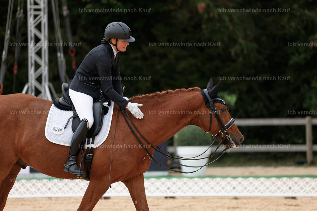 3-049-Dressur M_-StoibPH-2289 | working equitationturnier fotograf videograf stoibphotography marixx film working equitation deutschland reitsport turnierfotografie eventfotografie equestrian events