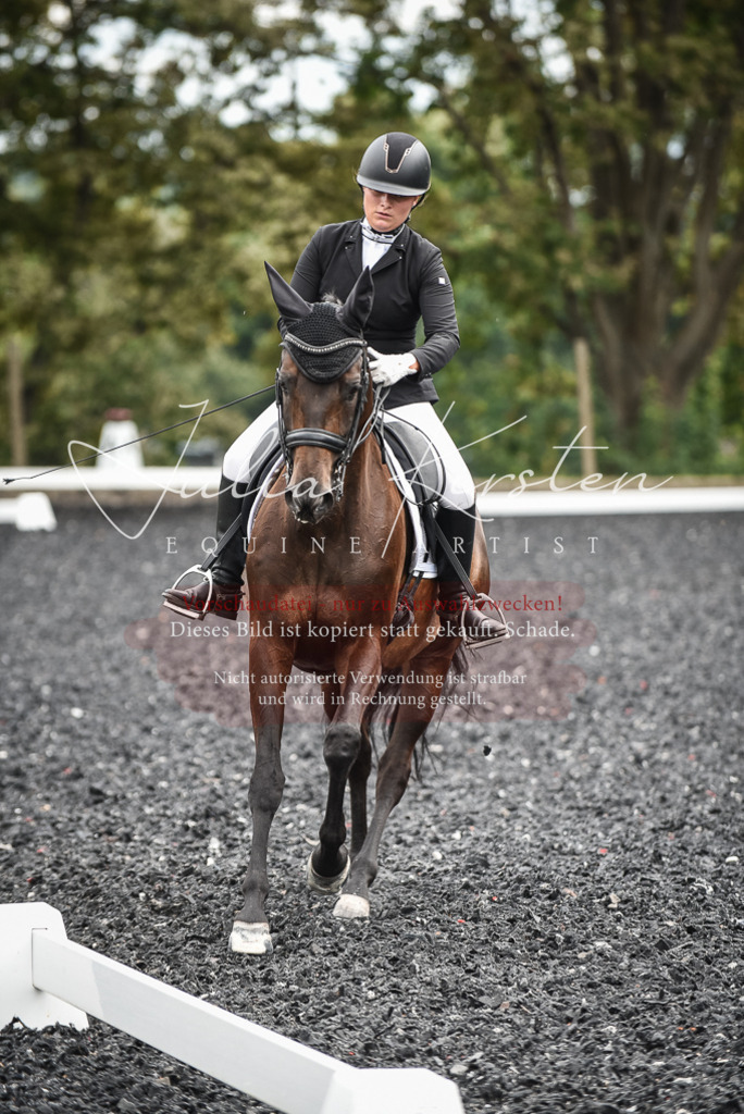 DSC_4902 | Pferde- und Turnierfotografie in Westsachsen. Pferdeportraits, Auftragszeichnungen und intuitive Kunst.