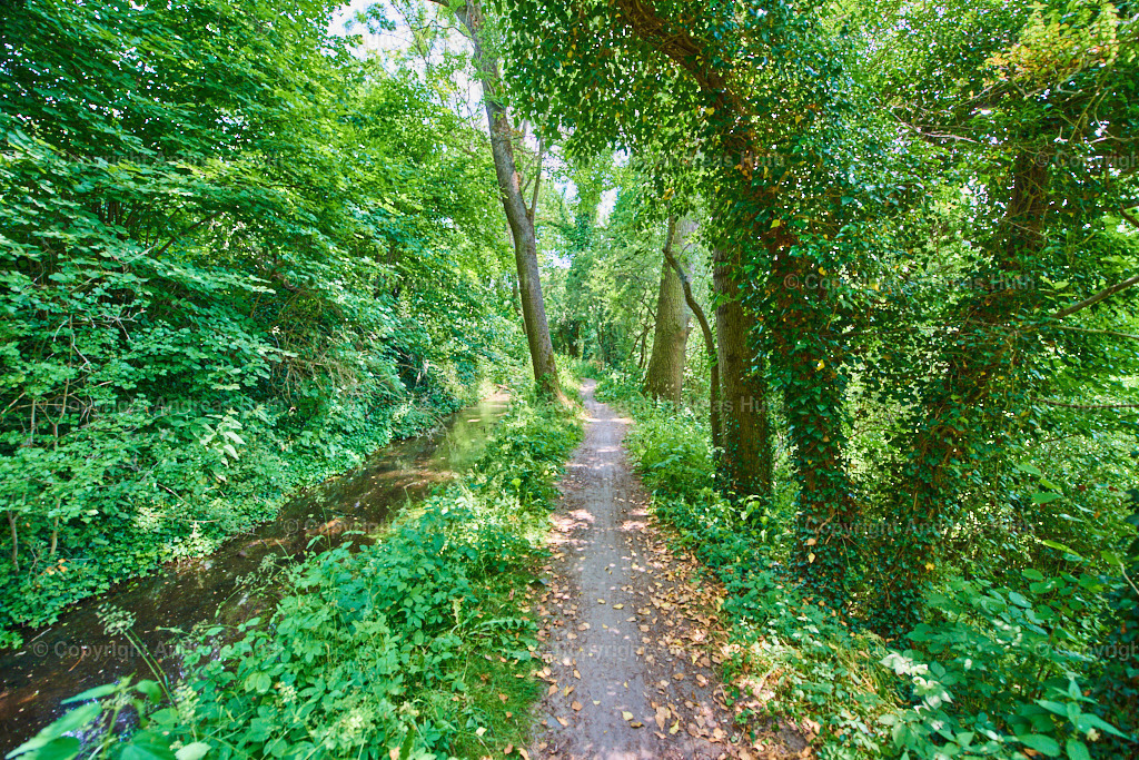 Am Mühlengraben der Mildenfurther Klostermühle (1260 erstmals urkundlich genannt) | Bedeutsame Landschaften Deutschlands - Realisiert mit Pictrs.com