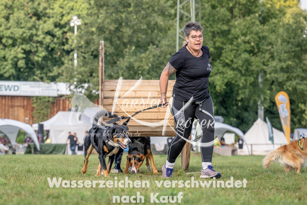 1027_ZZ92370 | kk-dogfotos