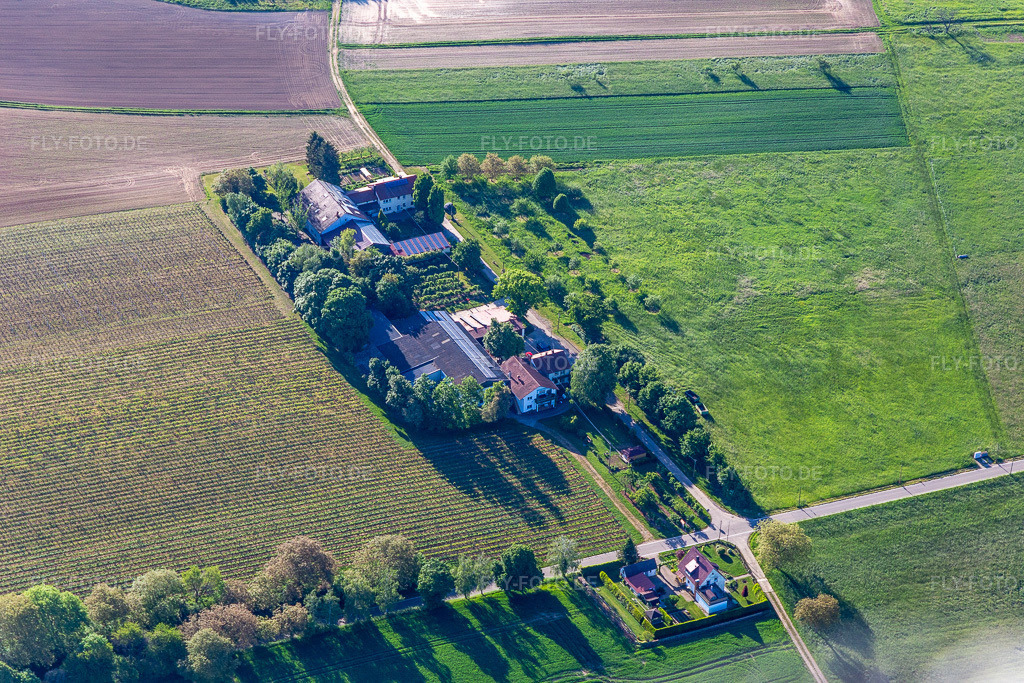 Luftbild: Ferienwohnungen Eichenhof Weinstube Eichenhof im Ortsteil Deutschhof in Kapellen-Drusweiler im Bundesland Rheinland-Pfalz in Deutschland. Foto: IMG_131463.jpg vom 14.05.2022 durch Werner Riehm/FLY-FOTO.deWWW.EICHENHOF-PFALZ.DE