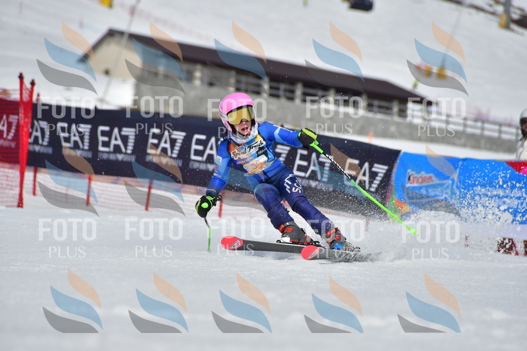 _DSC6995 | holidayphoto