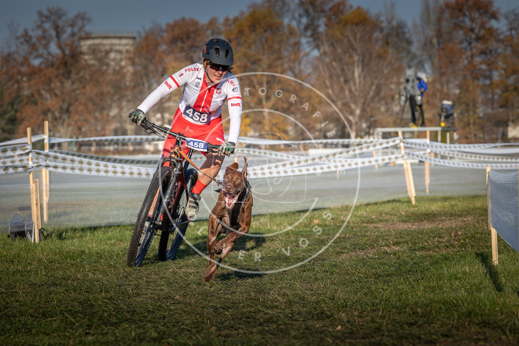 CaniXpix_0L8A4471 | Hundefotografie, Tierfotograf, Pfotenfotografie, Fotoshooting Hund, Hunde Portrait, Hundesport, Hundeportraits, Heideshooting, Hunde, Sportfotograf, Hundefotograf, Turnierhundsport, THS,  - Realisiert mit Pictrs.com