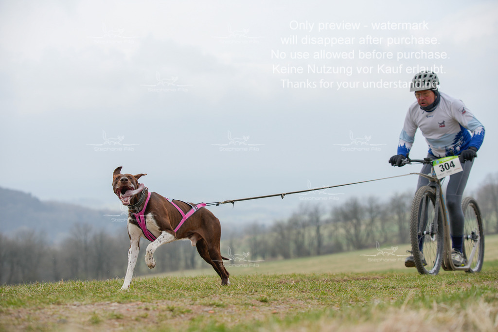 ScooterSA-26 | stephaniefillaphotographie - Realisiert mit Pictrs.com