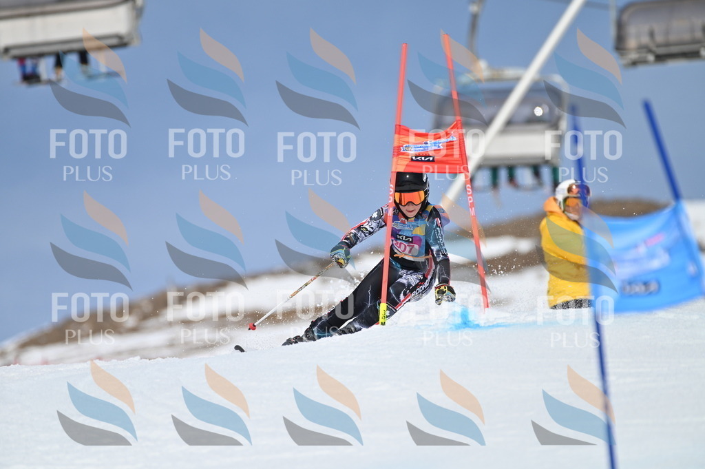 BGV_1080 | holidayphoto