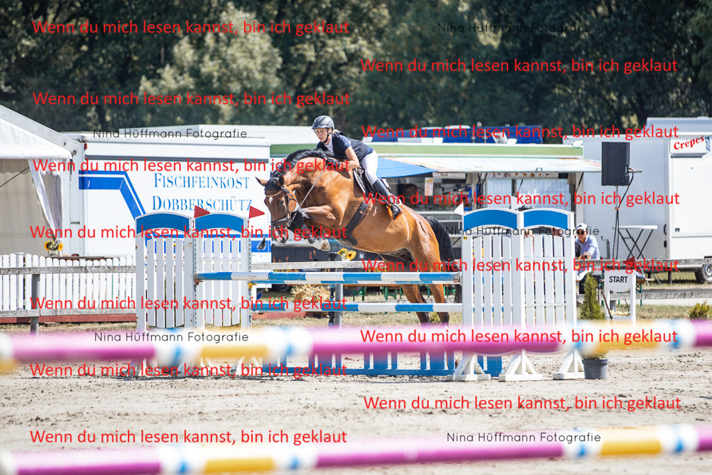 BK1A6386 | Turnierbilder Turnierfotos Nina Hüffmann Turnierfotografie Pferdefotografie Tierzeichnung Haustierzeichnung Pferdezeichnung Hundezeichnung Videograf  - Realisiert mit Pictrs.com