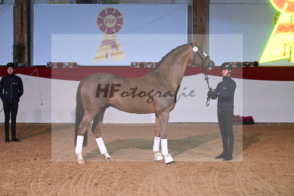 Sir Nymphenburg_1235082 | hf-fotografie - Realisiert mit Pictrs.com
