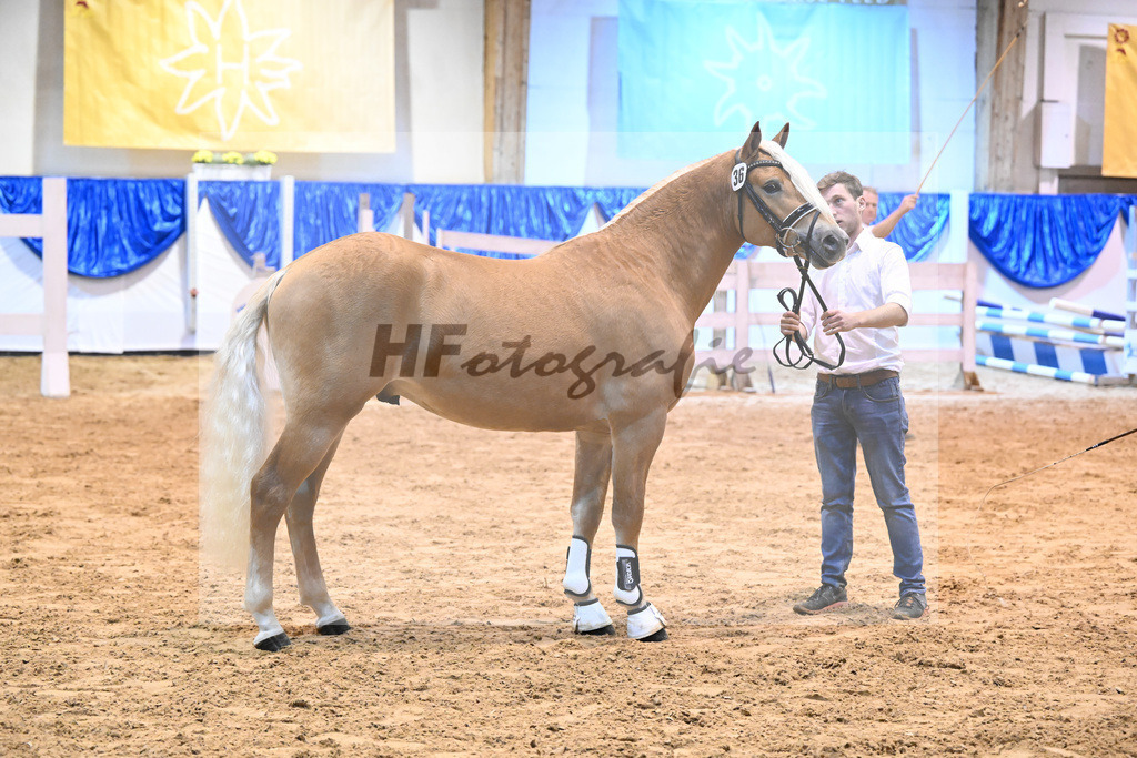 Kat-Nr. 36 nn v. Ansgar_Port_60220582 | hf-fotografie - Realisiert mit Pictrs.com