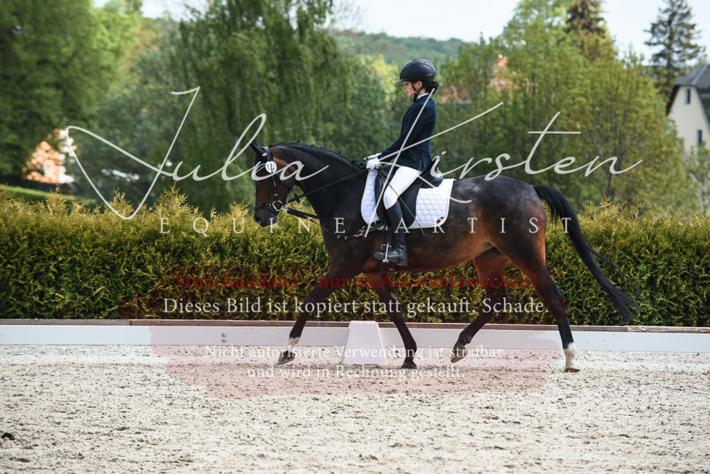 20230518_JK-Röhrsdorf-11-0524 | Pferde- und Turnierfotografie in Westsachsen. Pferdeportraits, Auftragszeichnungen und intuitive Kunst.