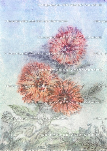 Asterngruß Variation 31 | Zeichnung von Vera Zschecked exclusiv auf titusgraphy.eu - Realisiert mit Pictrs.com